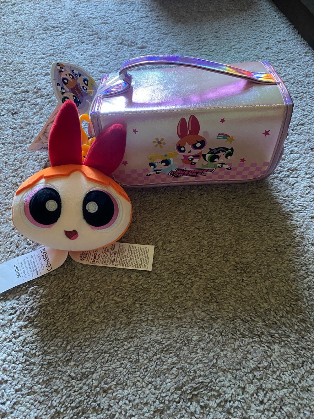 POWERPUFF GIRLS SCHOOL Case  + DETACHABLE PLUSH